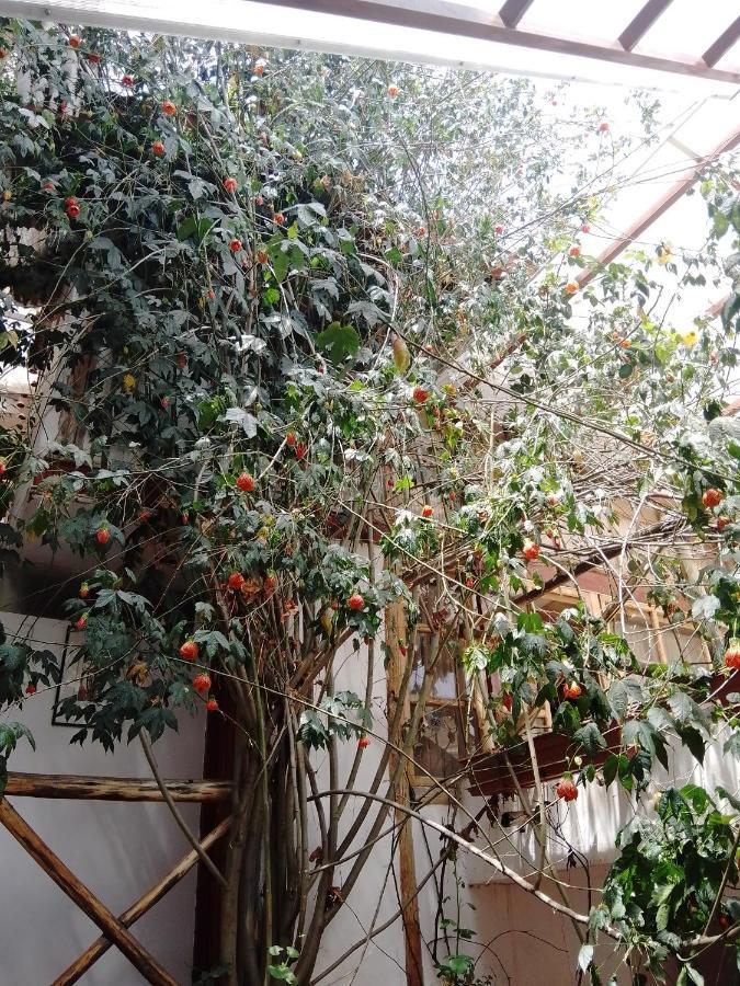 Casa De Mama Cusco - The Treehouseアパートホテル エクステリア 写真